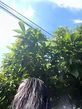 Snapshot of Sophie_Dreamss chatting on October 3, 7:33 pm Sophie Dreamss online show from October 3, 7:33 pm