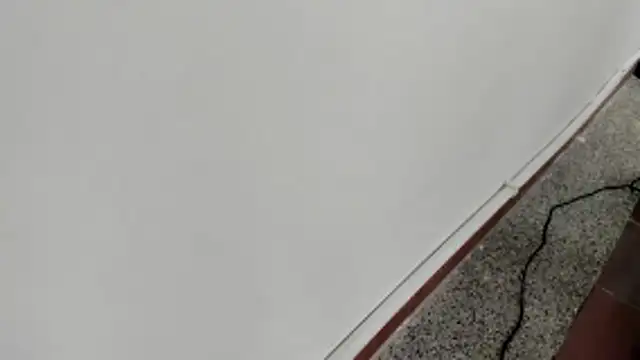 michelle perla online show from January 15, 7:06 pm