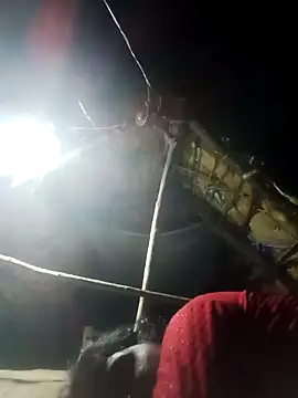 Sapna cutt online show from September 25, 6:55 pm