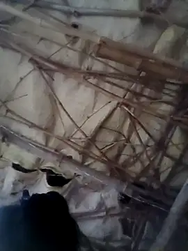 Sapna cutt online show from October 14, 12:28 pm