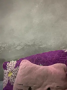 Nh64 online show from February 8, 12:25 am