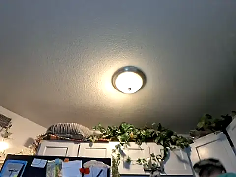 Snapshot of WWGD69 chatting on March 3, 2:28 am WWGD69 online show from March 3, 2:28 am