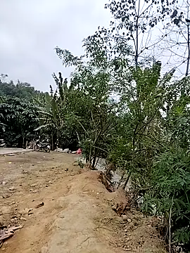 Tin tanny online show from February 6, 12:37 am