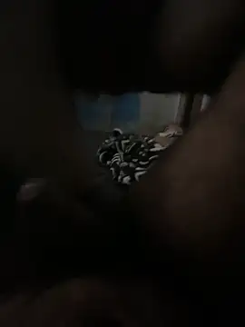 FromVnz online show from November 21, 12:37 pm