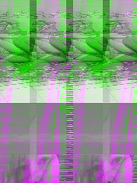 Snapshot of couple2612 chatting on October 7, 9:39 am couple2612 online show from October 7, 9:39 am