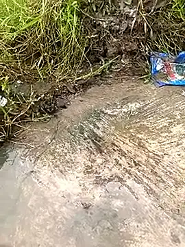 Rahul Razz online show from September 10, 4:01 am