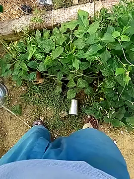 Rahul Razz online show from October 21, 1:06 am