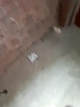 Rahul Razz online show from October 23, 1:05 am