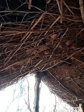 Janvi Jaitly online show from December 5, 1:25 am