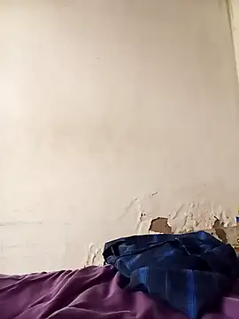 average price online show from December 3, 8:00 am