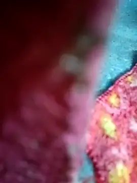 Sharmili xx online show from September 25, 8:23 pm