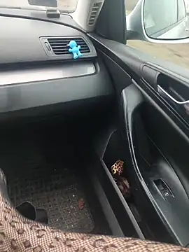 MiriandZacki online show from December 21, 12:23 pm