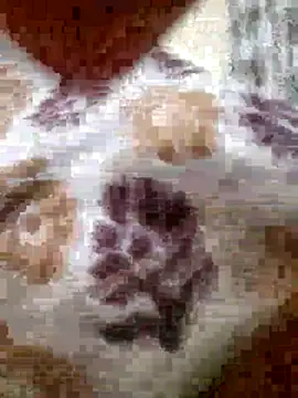 roshankakol online show from November 21, 5:33 pm