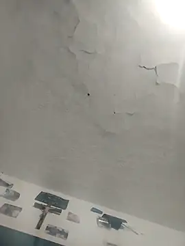 Ferxxxo1503 online show from December 2, 5:02 am