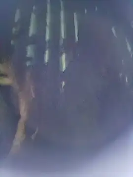 8133vaibhavh online show from October 9, 2:48 pm