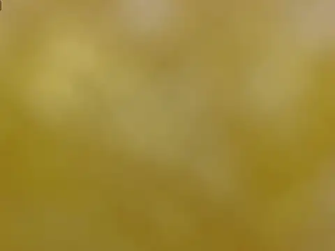 ThaniaBexter online show from September 8, 11:59 pm