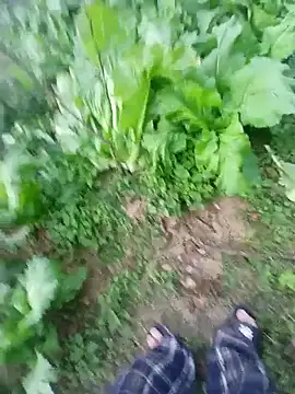 kemtuoi-sex online show from January 17, 10:31 am