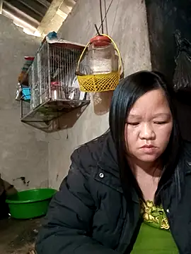 riso-00 online show from January 9, 6:49 am