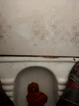 Snapshot of haryanaboypanipat12 chatting on March 17, 1:21 am haryanaboypanipat12 online show from March 17, 1:21 am