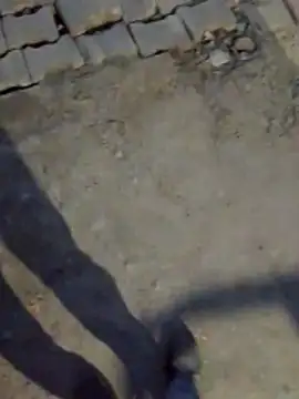 Snapshot of haryanaboypanipat12 chatting on March 17, 1:25 pm haryanaboypanipat12 online show from March 17, 1:25 pm