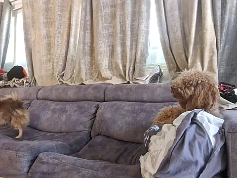 Snapshot of Alexis21821 chatting on December 3, 7:05 am Alexis21821 online show from December 3, 7:05 am