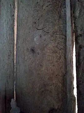 Snapshot of bonnie-00 chatting on October 29, 11:28 pm bonnie-00 online show from October 29, 11:28 pm