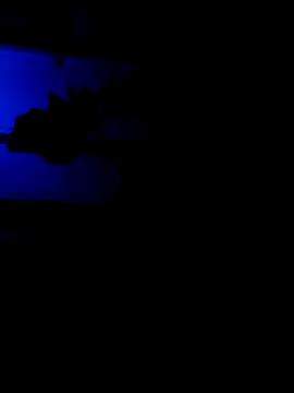 Snapshot of sonali134 chatting on February 2, 8:18 pm sonali134 online show from February 2, 8:18 pm