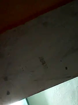 Sort xr12 online show from December 17, 2:56 pm