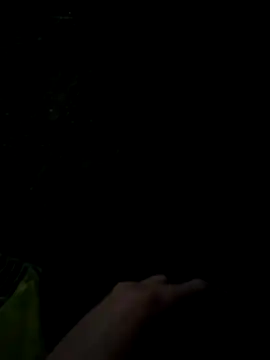 Mags1061 online show from December 23, 12:08 am