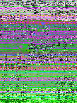 MaddyX   online show from November 15, 7:21 pm