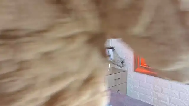 sofiagutierrez   online show from October 9, 3:04 am