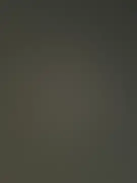 Nataku10 online show from December 4, 11:35 pm