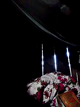 Snapshot of donna-bae chatting on October 4, 11:03 pm donna-bae online show from October 4, 11:03 pm