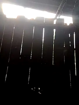 Snapshot of donna-bae chatting on October 10, 11:04 pm donna-bae online show from October 10, 11:04 pm