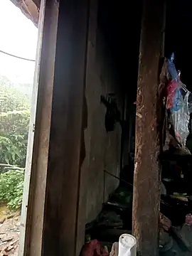 tulipsexy online show from October 16, 12:44 am