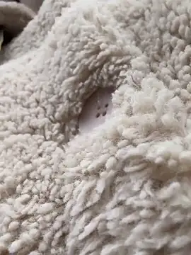 RonnieKiss online show from October 24, 3:25 am