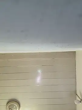 AZ37866 online show from December 17, 2:28 am