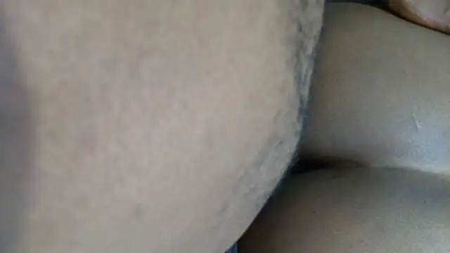 Dandelion enigman online show from October 10, 2:32 am