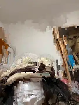 mino bitter online show from February 12, 3:40 pm