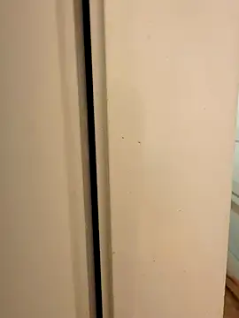 hhhajjib online show from November 17, 5:19 pm