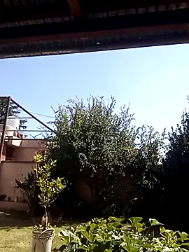 -Axelconda420 online show from March 25, 4:57 pm