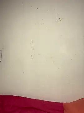 Bulma04 online show from November 9, 4:33 am