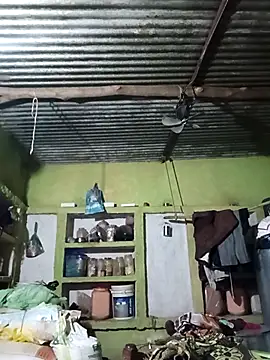 Haliya88 online show from October 6, 6:49 pm