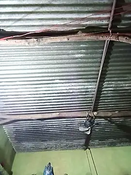 Haliya88 online show from October 29, 10:55 pm