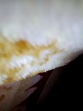 alone boy802 online show from October 6, 4:15 pm