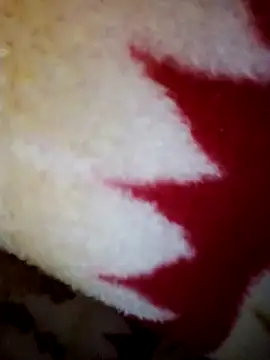 alone boy802 online show from October 28, 8:29 am