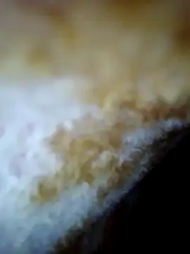 alone boy802 online show from October 30, 6:26 am