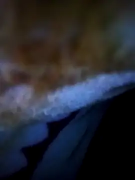 alone boy802 online show from November 5, 12:54 am