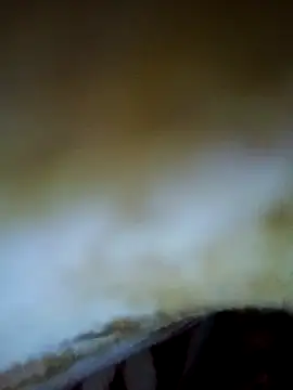 alone boy802 online show from November 6, 4:19 pm