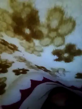 alone boy802 online show from November 8, 7:30 am